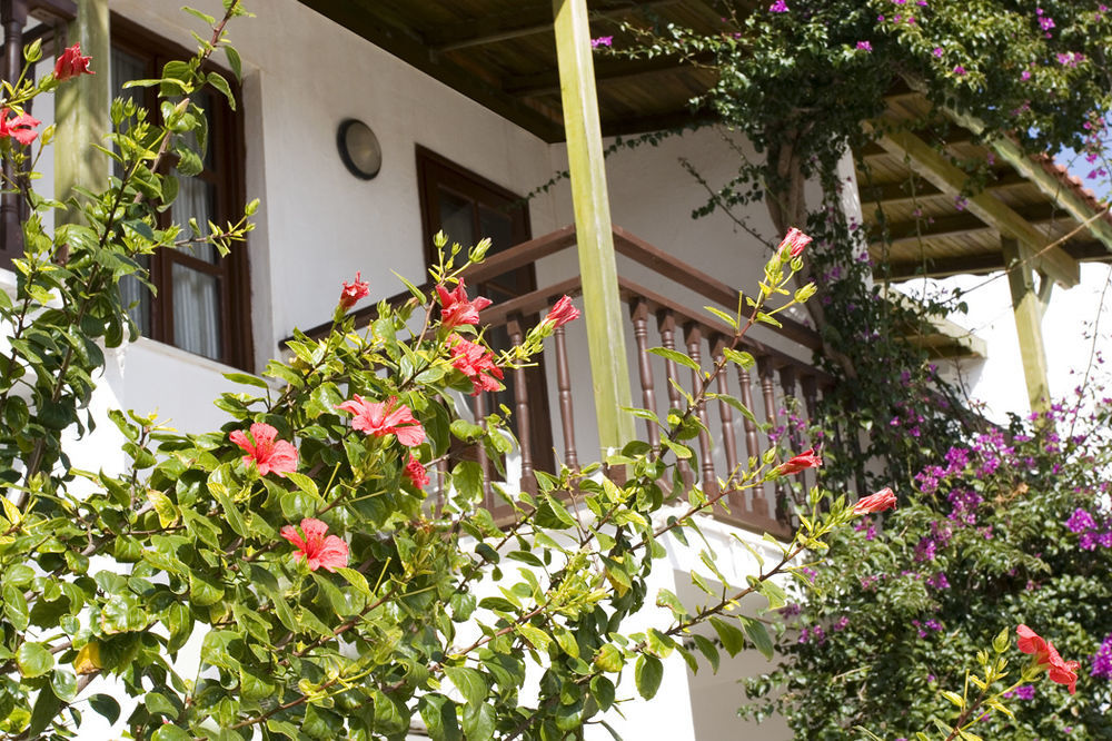 Delfi Hotel Spa & Wellness Center Bodrum Exterior photo